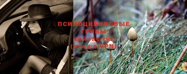 дмт Алексин