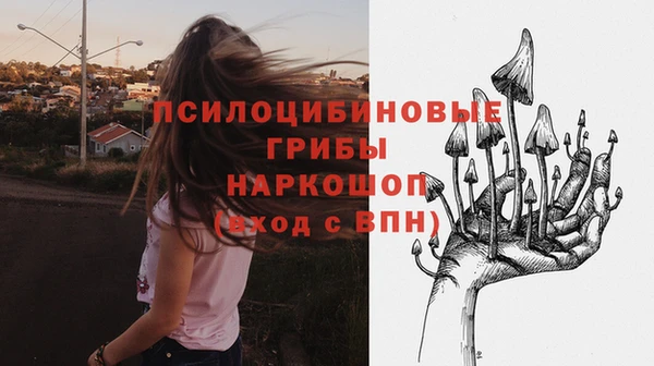 кокс Алексеевка