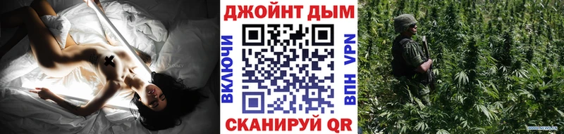 купить наркотики цена  Циолковский  Конопля тримм 
